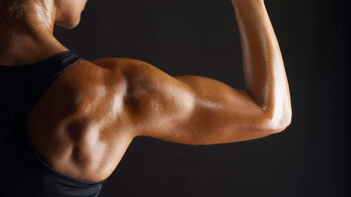 Creatine: the most-researched powder and the biggest misunderstanding about it