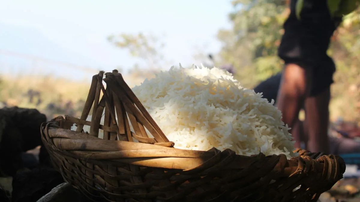 Reheating rice: the bacterium nobody knows